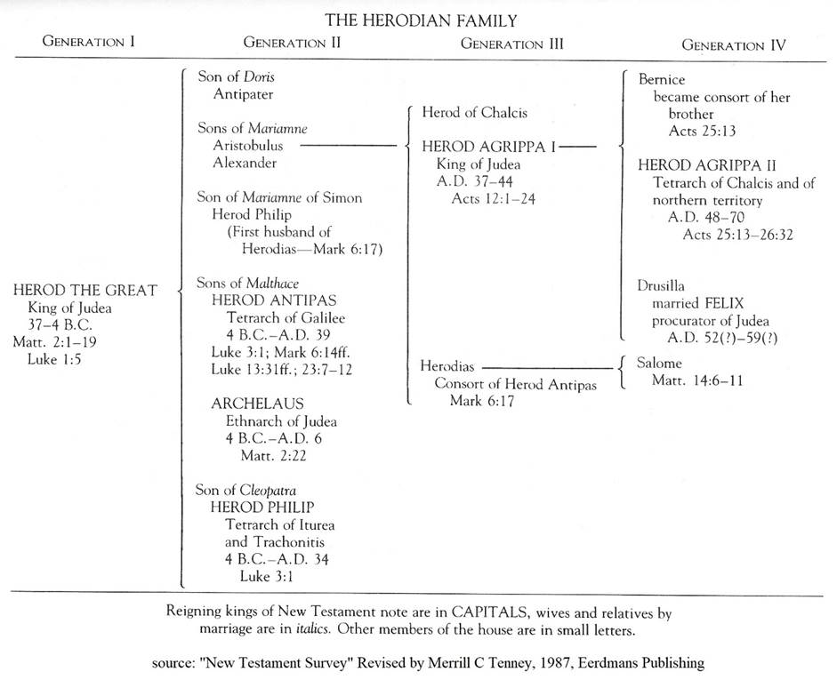 A chart showing the family tree of the Herodian Family.