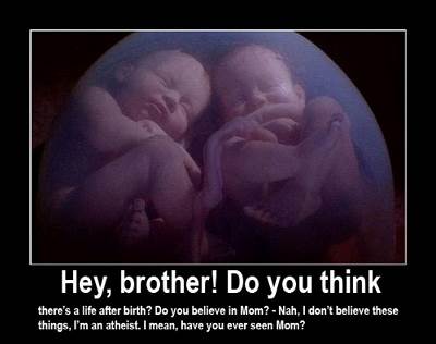 Comic with 2 fetus talking to one another regarding whether mom really exists